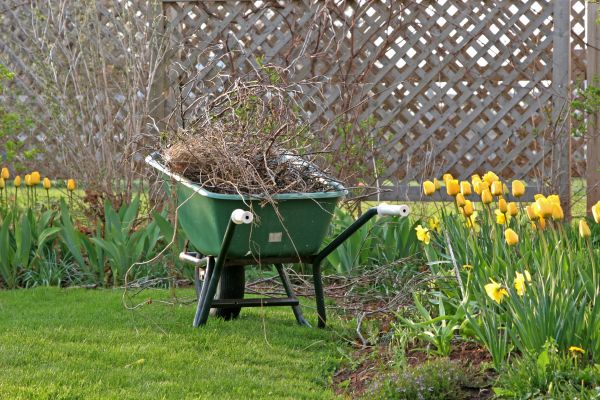 Flower Bed Cleanup Service in Prescott
