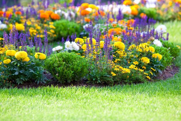 Flower Bed Maintenance in Prescott