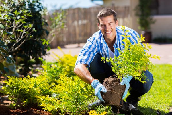 Bush Planting Service in Prescott