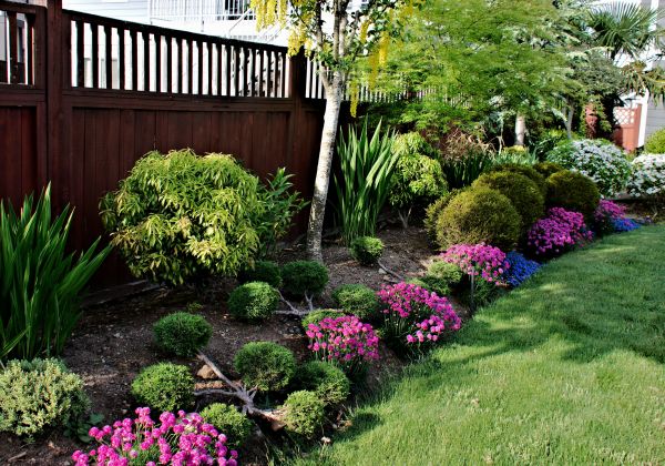 Garden Care Service in Prescott