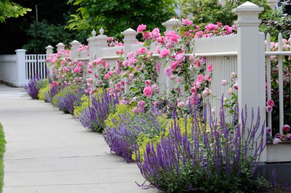 Garden Handyman Service in Prescott