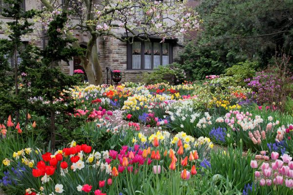 Garden Maintenance Service in Prescott