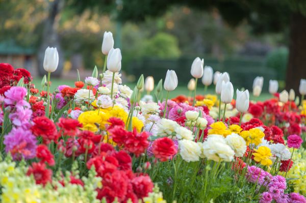 Gardening Service in Prescott