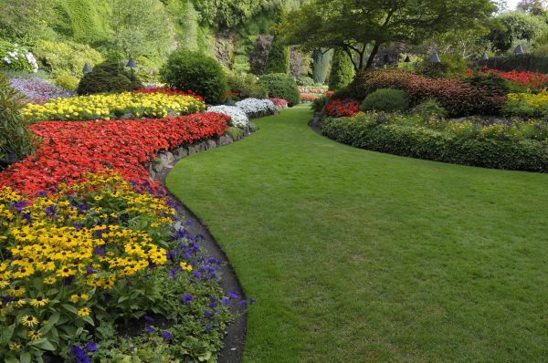 Landscaping Maintenance in Prescott