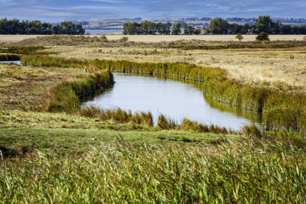 Swale Landscaping in Prescott