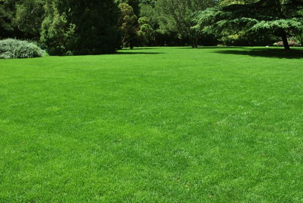 Lawn Landscaping in Prescott