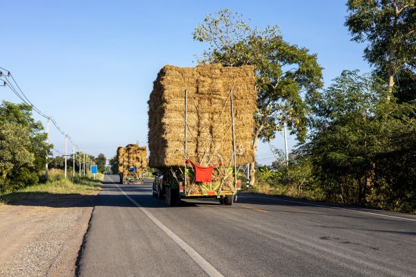 Pine Straw Delivery in Prescott