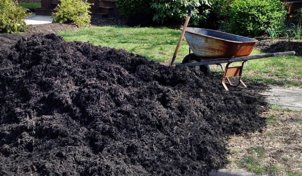 Black Mulch Delivery in Prescott