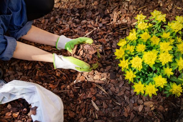 Garden Mulching in Prescott