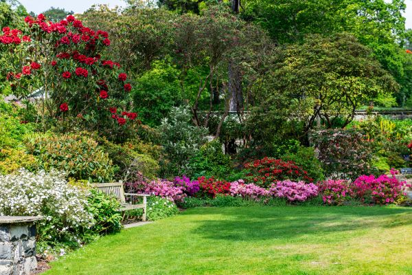 Garden Improvement