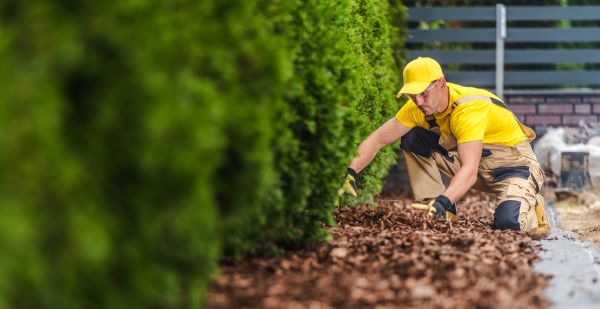 Cypress Mulch Installation in Prescott