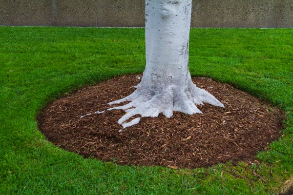Brown Mulch Installation in Prescott
