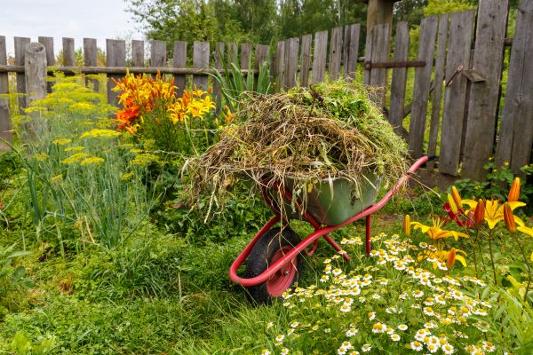 Garden Cleanup Service in Prescott