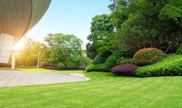 Business Landscape Design in Prescott