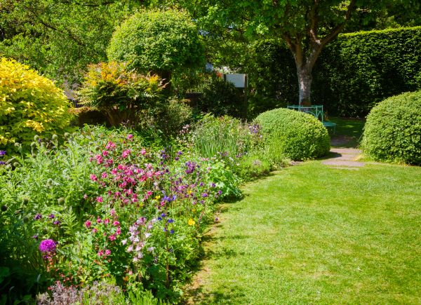 Yard Landscaping Service in Prescott