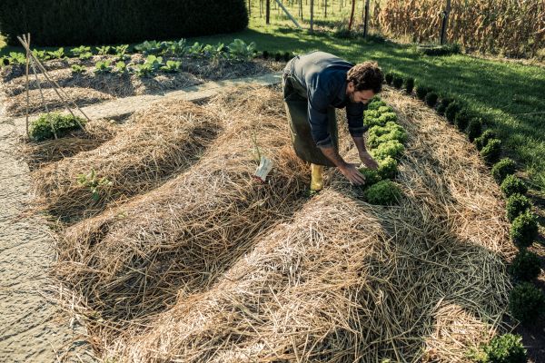 Straw Mulching Service in Prescott