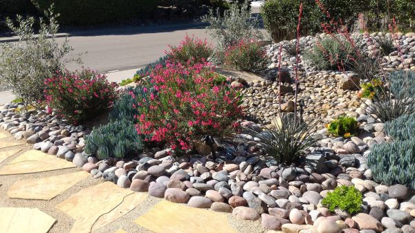 Xeriscape Landscaping in Prescott