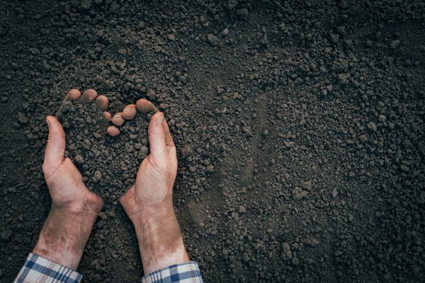Soil Installation in Prescott