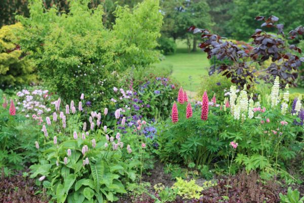Flower Bed Planting in Prescott