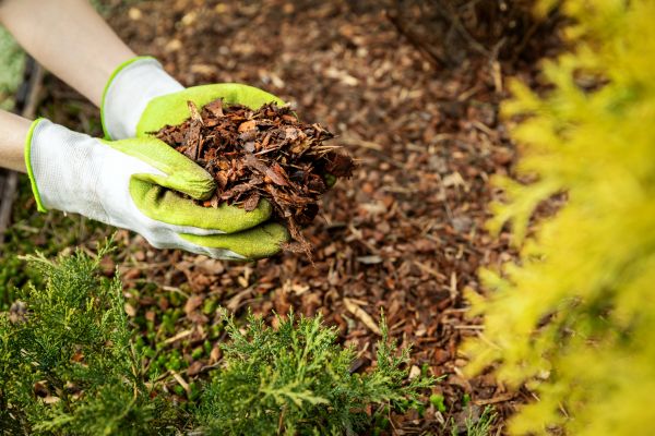 Garden Mulch Delivery in Prescott