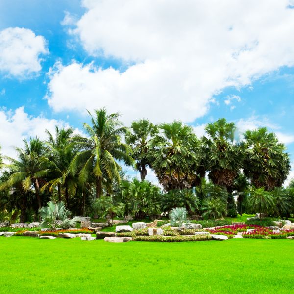 Tropical Landscaping in Prescott