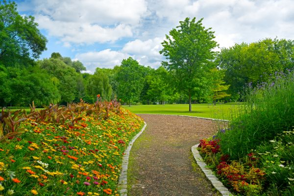 Park Landscaping in Prescott
