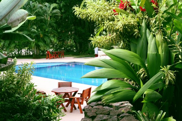 Tropical Garden Landscaping in Prescott