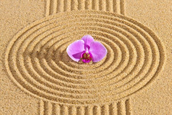 Sand Garden Landscaping in Prescott