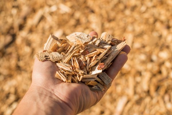 Wood Chips Spreading in Prescott