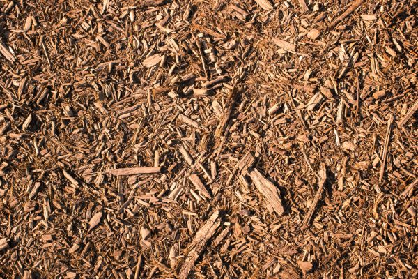Wood Chips Removal in Prescott