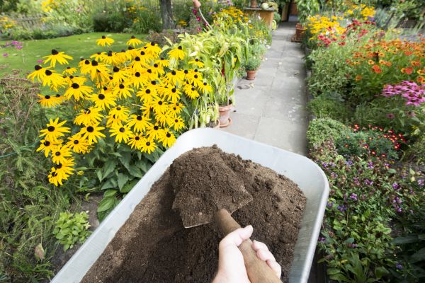 Topsoil Replacement in Prescott
