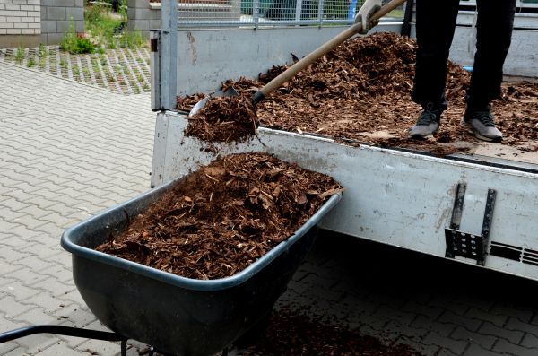 Playground Mulch Delivery in Prescott