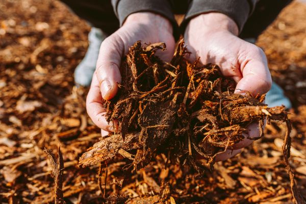 Bark Chips Delivery in Prescott