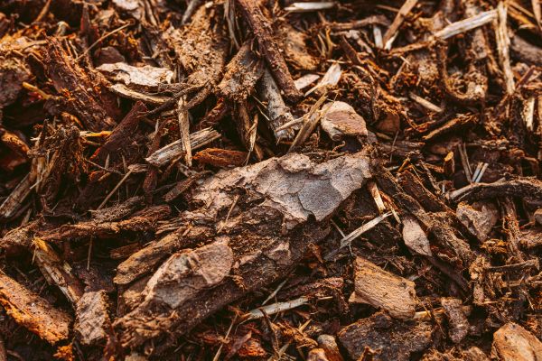 Bark Mulch Delivery in Prescott