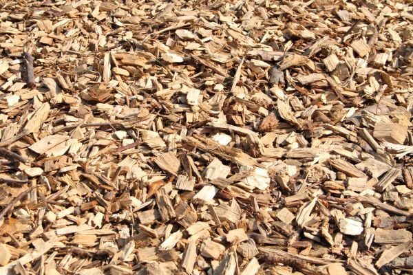 Wood Mulch Delivery in Prescott