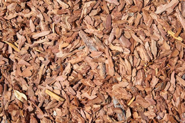 Pine Mulch Spreading in Prescott