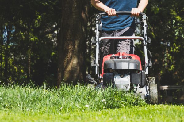 Garden Trimming Service in Prescott