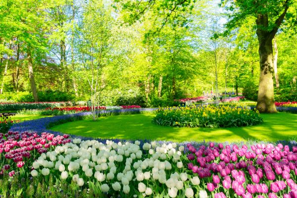 Flower Landscaping in Prescott