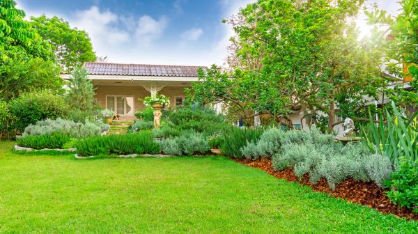 Greenery Planting in Prescott