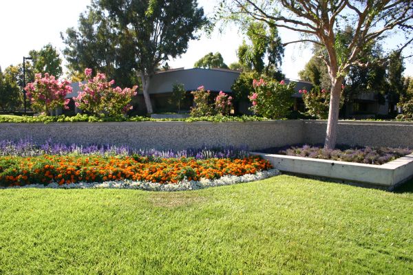 Commercial Landscape Service in Prescott