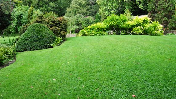 Commercial Landscape Design in Prescott