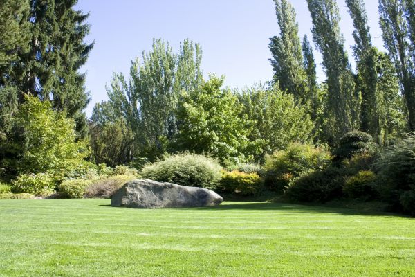 Yard Enlargement in Prescott