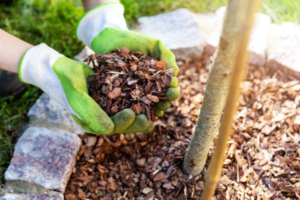 Tree Bark Delivery in Prescott