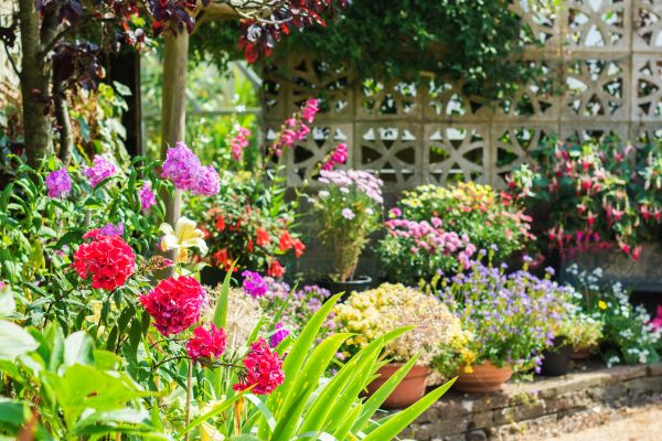 Spring Garden Maintenance in Prescott