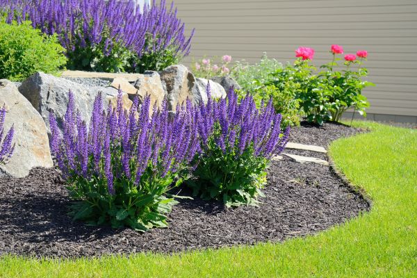 Landscape Planting Service in Prescott