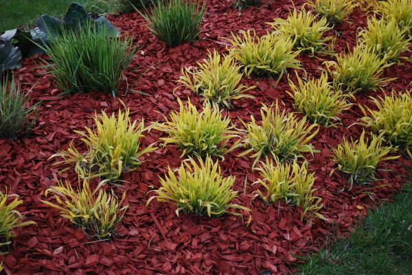 Red Mulch Installation in Prescott