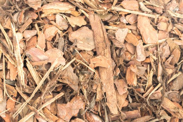 Bark Mulch Installation in Prescott