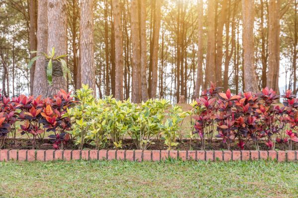 Small Garden Landscaping in Prescott