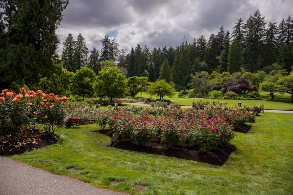 Flower Garden Landscaping in Prescott