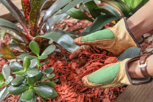 Residential Mulching in Prescott
